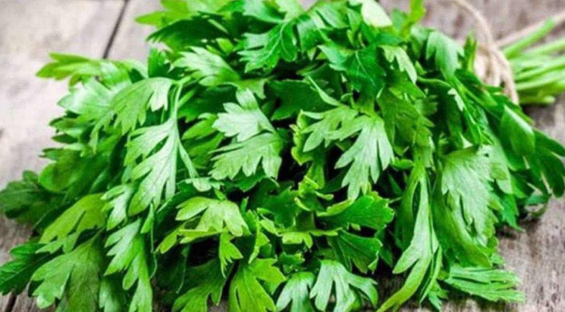 Salsa - Reprodução de Internet