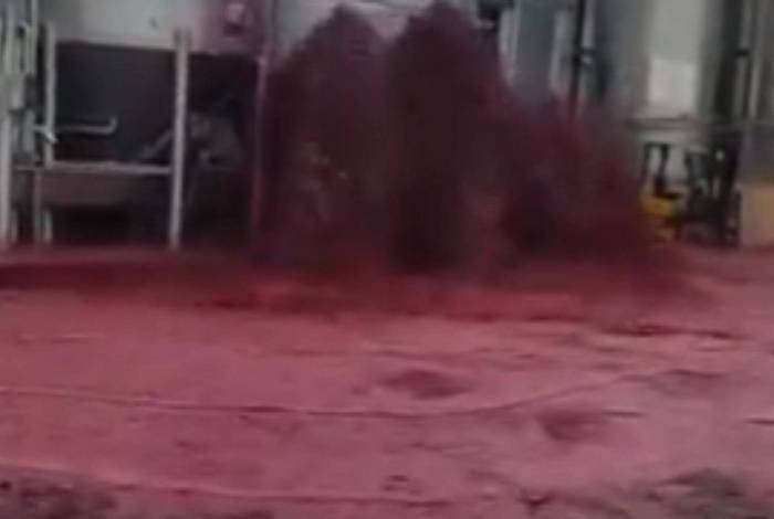 Tanque de vinho explode e derrama 50 mil litros da bebida; confira