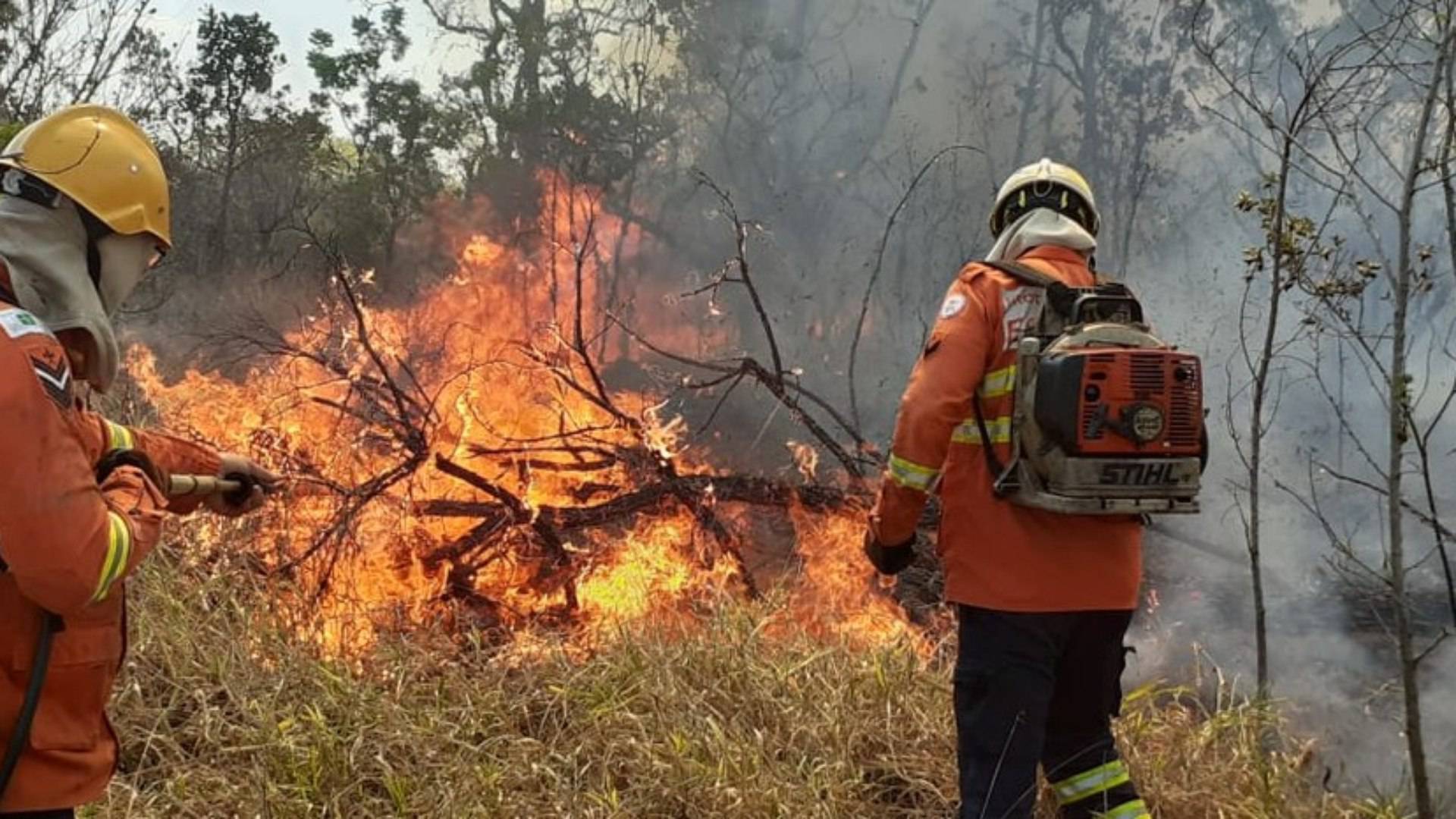 Segundo o Corpo de Bombeiros, chamas est&atilde;o sob controle