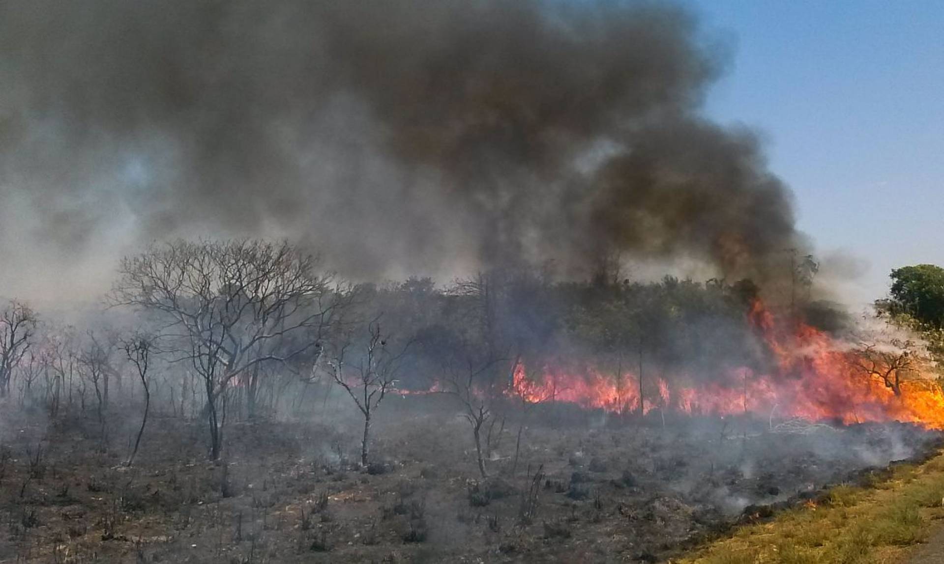 Incêndio de grandes proporções já destruiu uma extensa área do Parque Estadual de Ibitipoca