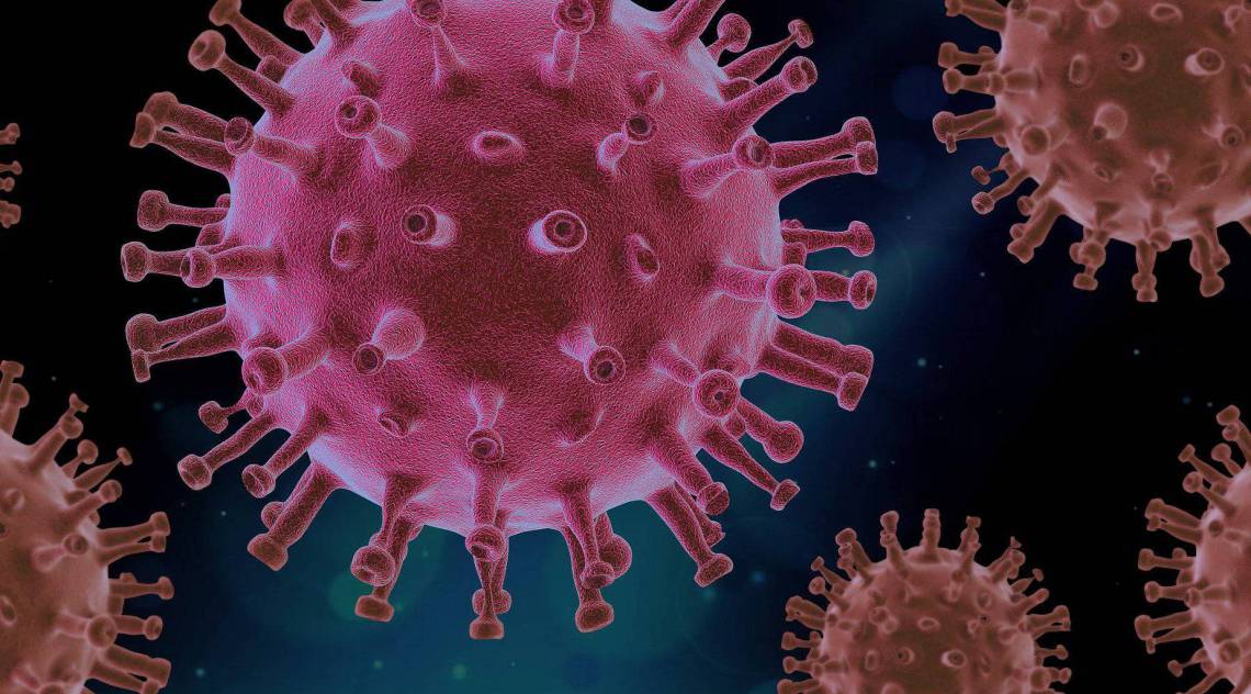 Covid-19 - Reprodu&ccedil;&atilde;o