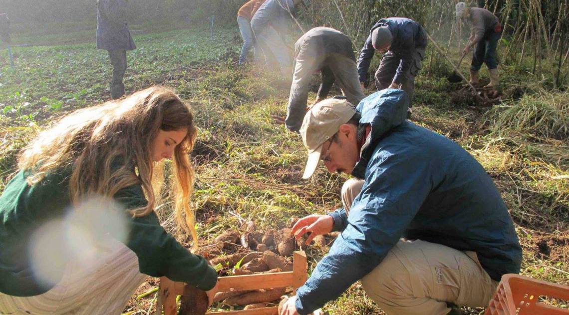 Mundo desperdi&ccedil;a cerca 1,3 bilh&atilde;o de toneladas do alimento produzido, em todas as fases de produ&ccedil;&atilde;o - Flickr/Caipira Lab Tech