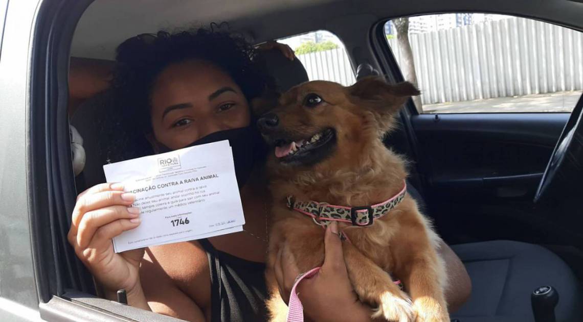 Mais de 68 mil animais são vacinados na primeira fase da campanha contra a raiva