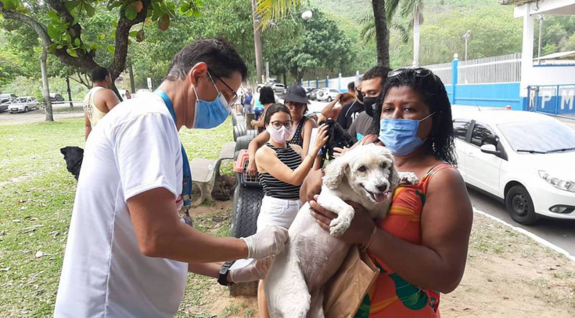 Mais de 68 mil animais são vacinados na primeira fase da campanha contra a raiva