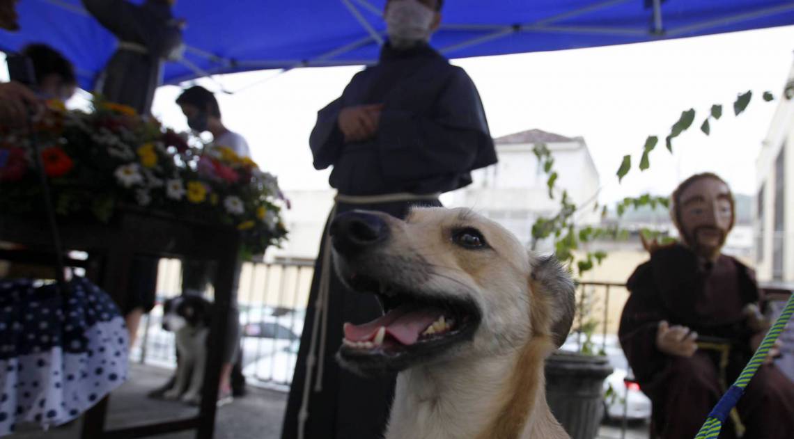 Rio de Janeiro 04/10/2020 - Igreja de São Francisco de Assis protetor dos animais Na foro acima o Paulinho sorriso. Foto: Luciano Belford/Agencia O Dia