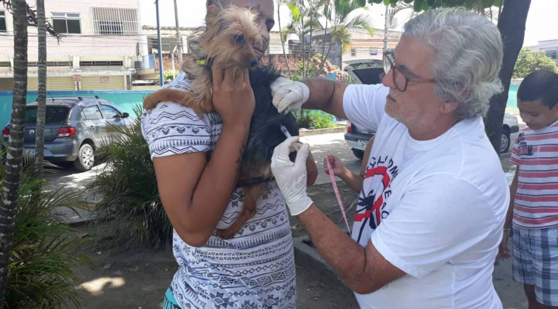 A doença pode ser transmitida por cães, gatos, morcegos e outros animais silvestres através da saliva, mordida, arranhão ou lambedura. 