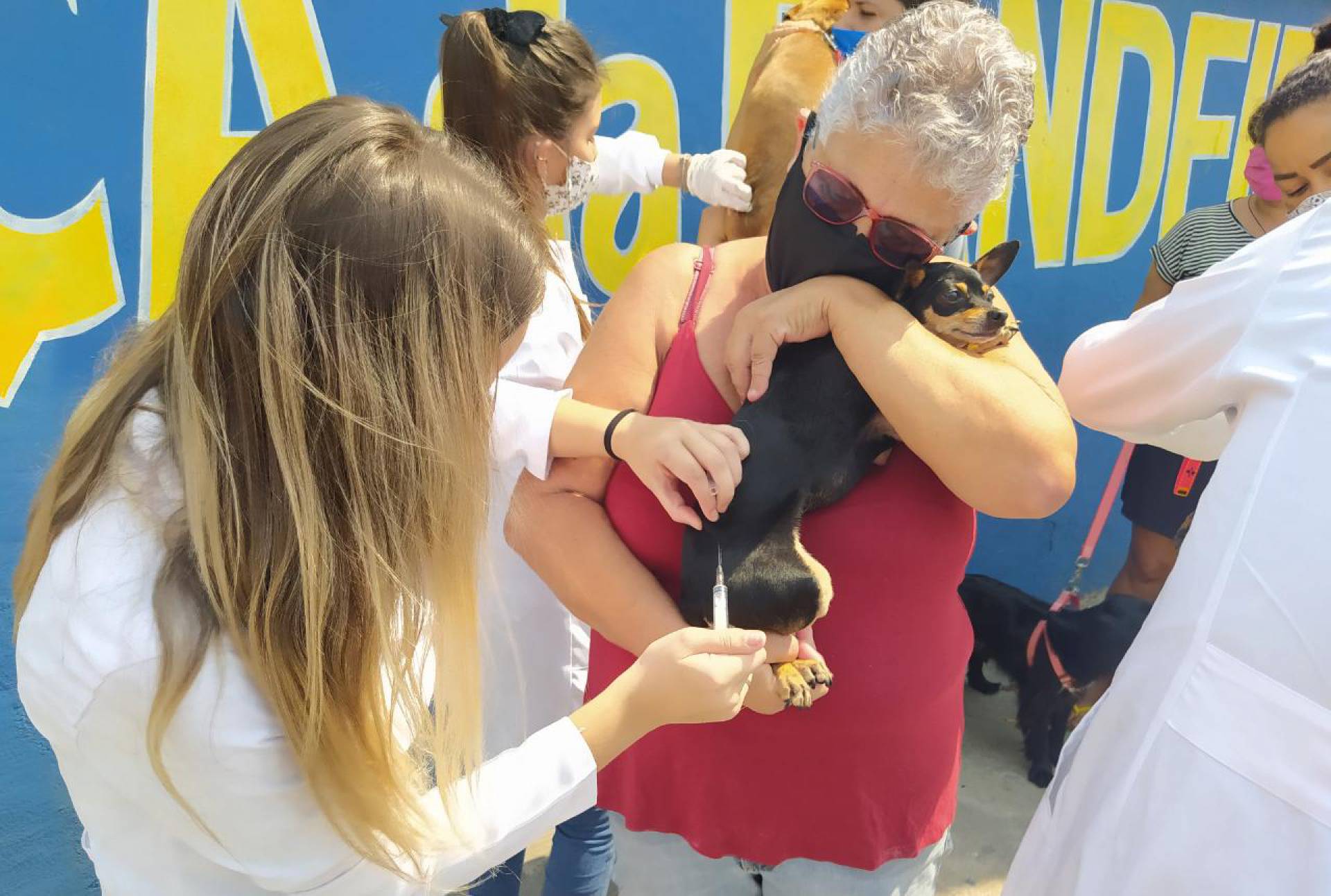 Vacinação antirrábica em São João de Meriti, primeira fase da campanha - Divulgação