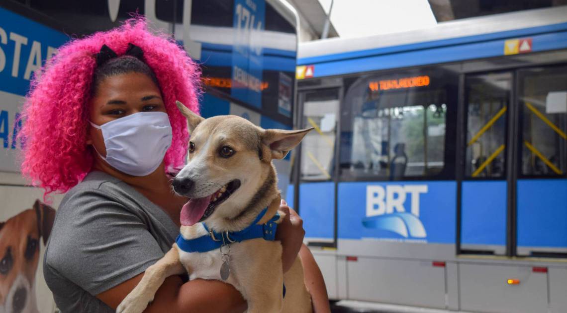 Esterilização gratuita no BRT