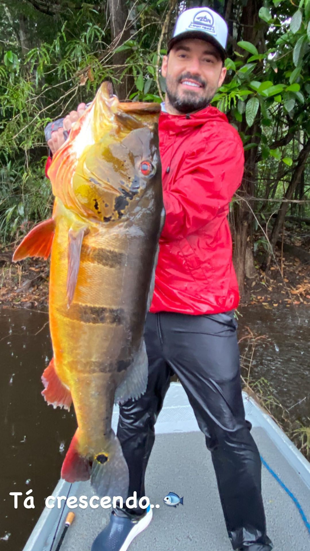 Fernando Zor - Reprodução