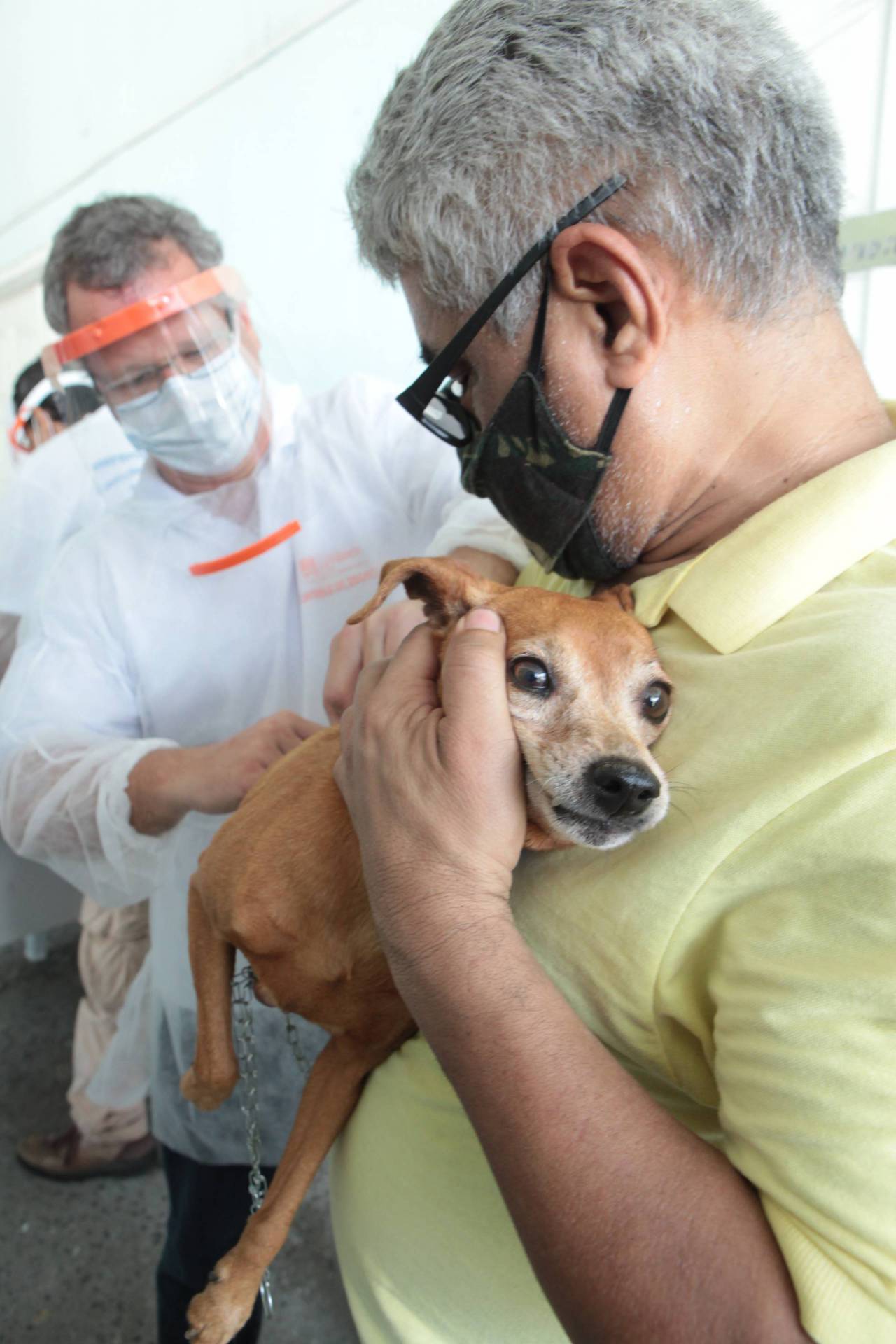 Expectativa é vacinar 60 mil animais - Berg Silva/Prefeitura de Niterói