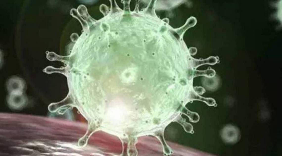 Boletim coronavírus desta segunda, dia 12, em Volta Redonda - Divulgação