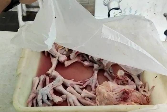 Pol&iacute;cia Civil estoura avi&aacute;rio que vendia pombos em vez de galetos