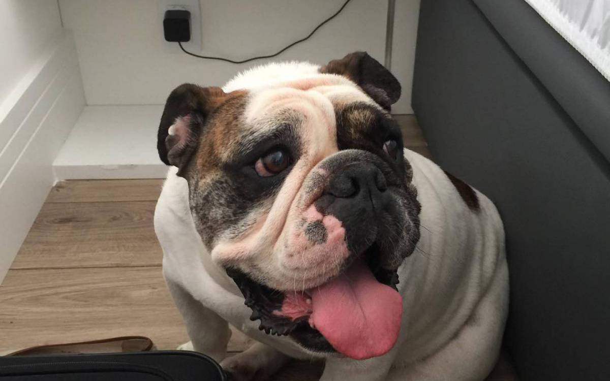 Botero foi encontrado em s&atilde;o Gon&ccedil;alo - Reprodu&ccedil;&atilde;o / Instagram