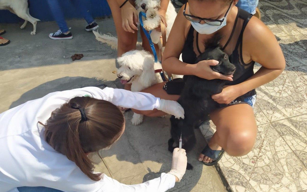 O evento atendeu milhares de pets em sua primeira edição, no último dia (3)