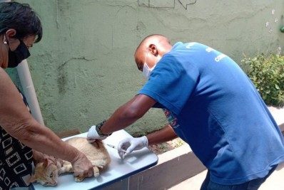 A importância da vacinação animal no Rio