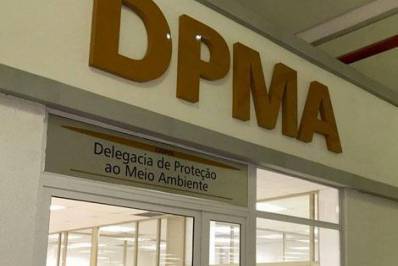 Operação contra campeonato de rinha de galos termina com mais de 80 pessoas em delegacia