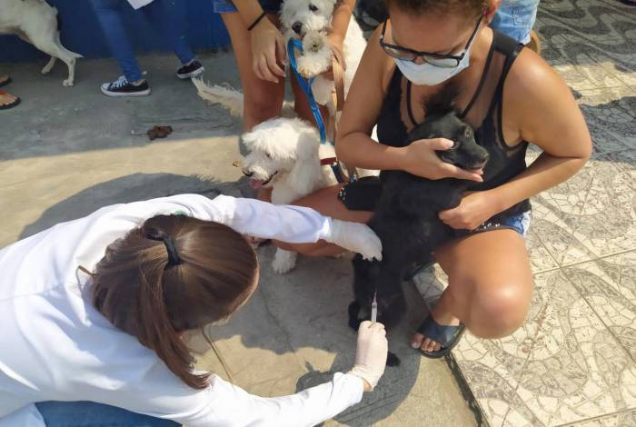 O evento atendeu milhares de pets em sua primeira edi&ccedil;&atilde;o, no &uacute;ltimo dia (3) - Divulga&ccedil;&atilde;o/ PMSJM