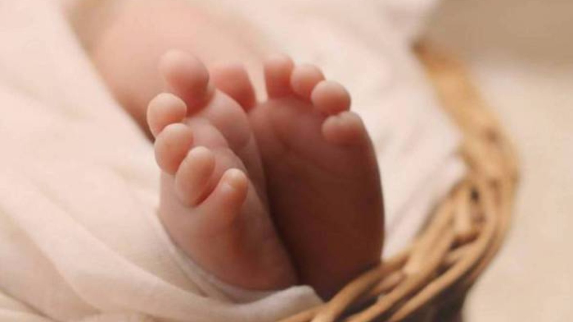 No m&ecirc;s passado, foram feitos 45.222 registros de nascimento em SP