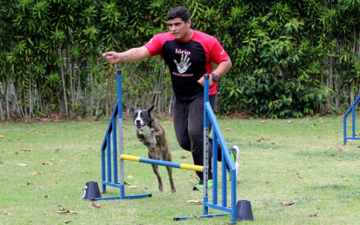 Eduardo Iório treina cães para praticar Agility e rende até competições com os CÂOpanheiros e seus donos