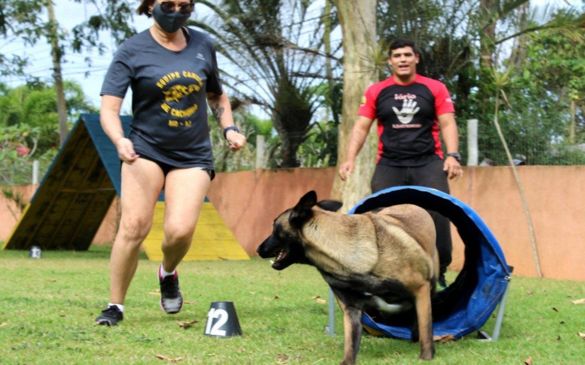 Eduardo Iório treina cães para praticar Agility e rende até competições com os CÂOpanheiros e seus donos