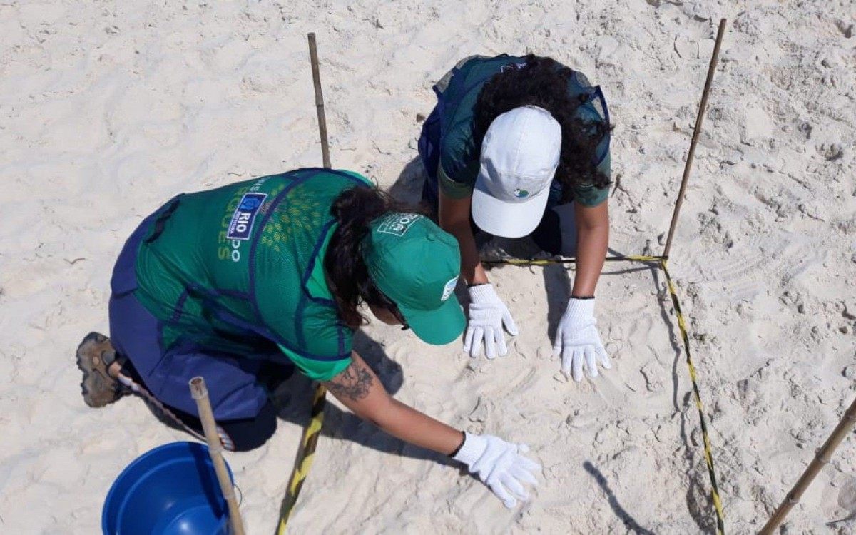 Praia da Reserva é a segunda do Rio a receber a Bandeira Azul; a primeira foi a Prainha - Divulgação