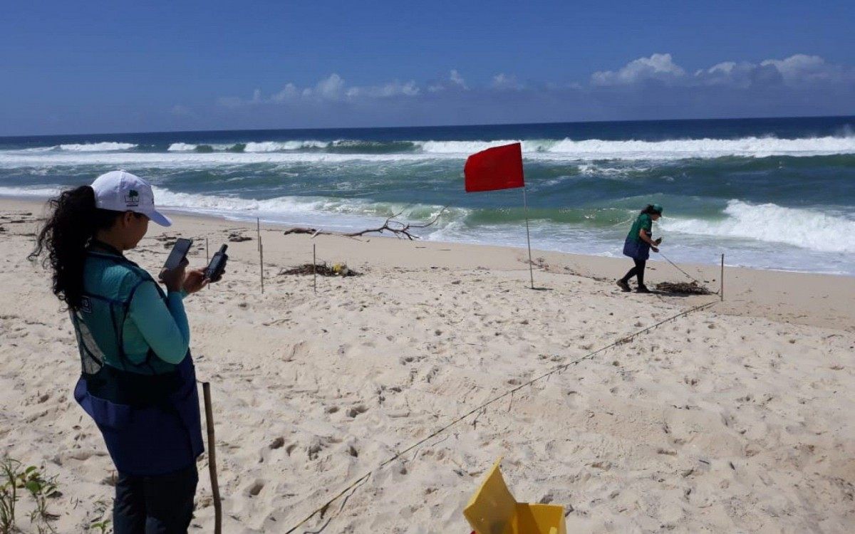 Júri internacional concedeu prêmio Bandeira Azul para a Praia da Reserva