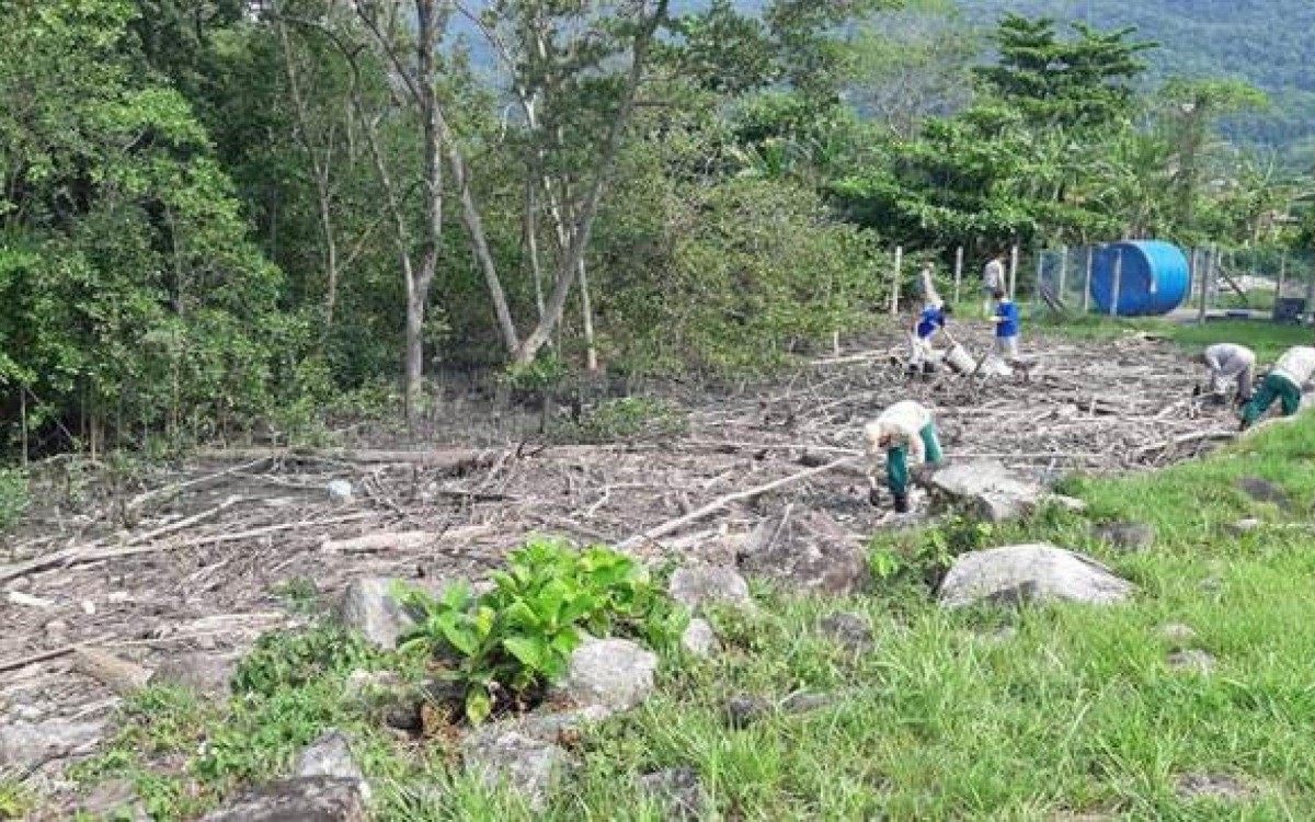A ação da empresa se estendeu pelo manguezal e todo o entorno do terminal portuário - Divulgação/Nuclep