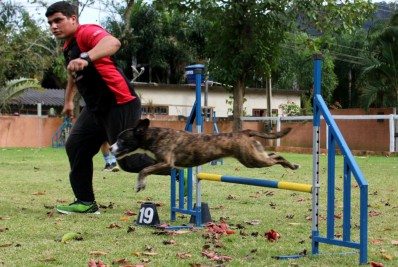 ESPECIAL PETS: CÃOpanheiros de atividades