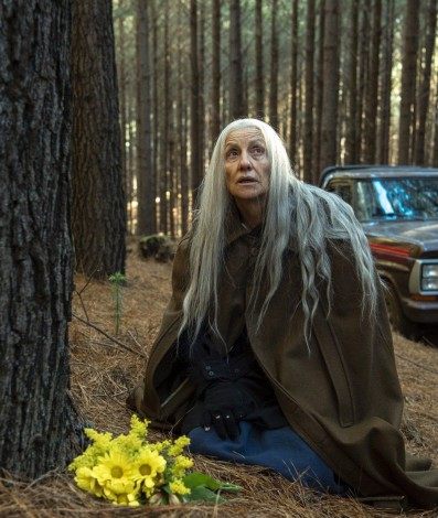 Haia (Cassia Kis) leva um ramalhete de flores para a floresta em homenagem a filha - Divulgação / TV Globo