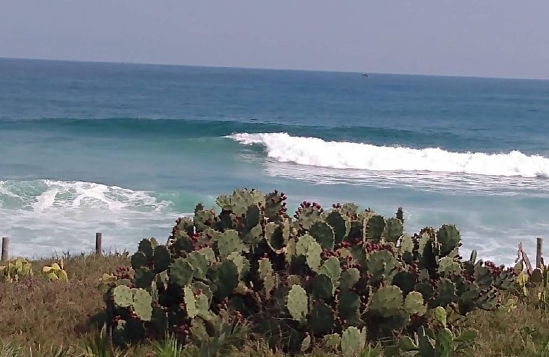 Movimenta&ccedil;&atilde;o na praia da reserva, Barra da Tijuca. - Divulga&ccedil;&atilde;o/Prefeitura do Rio