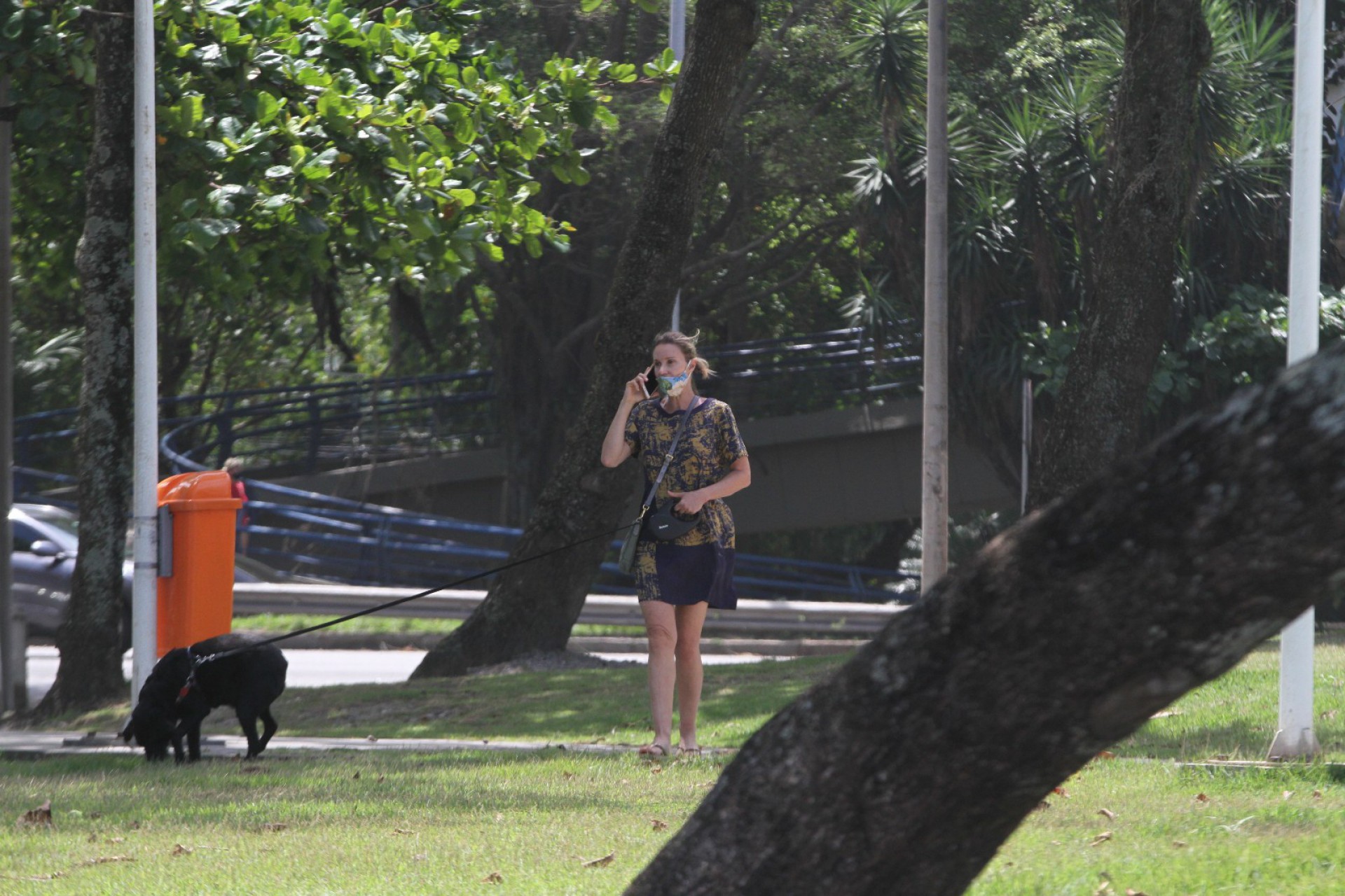 Paula Burlamaqui passeia com cachorro - Ag. News