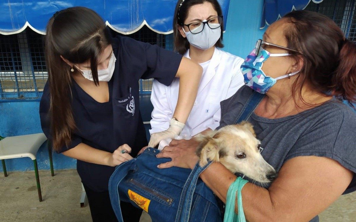 A ação tem como objetivo imunizar cães e gatos contra a raiva.