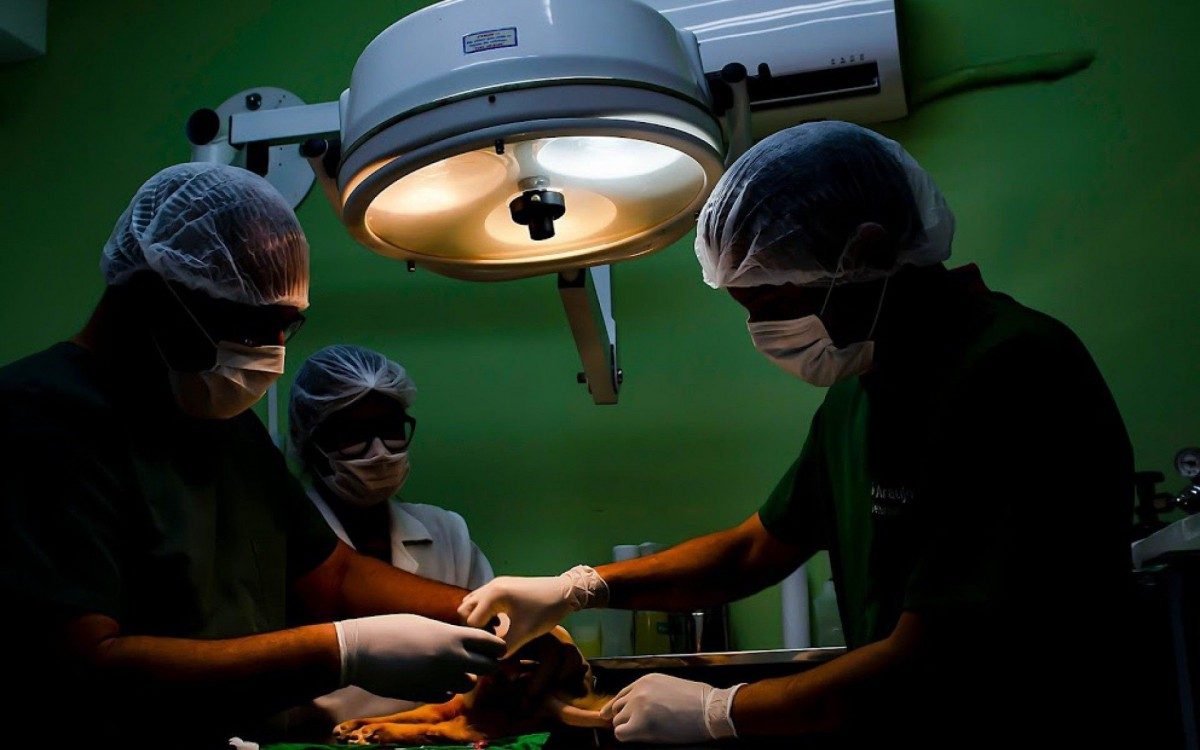 O médico em destaque é Dr Felipe Morelli, um dos nossos médicos Franqueados - Divulgação/Apaixonados por Quatro Patas