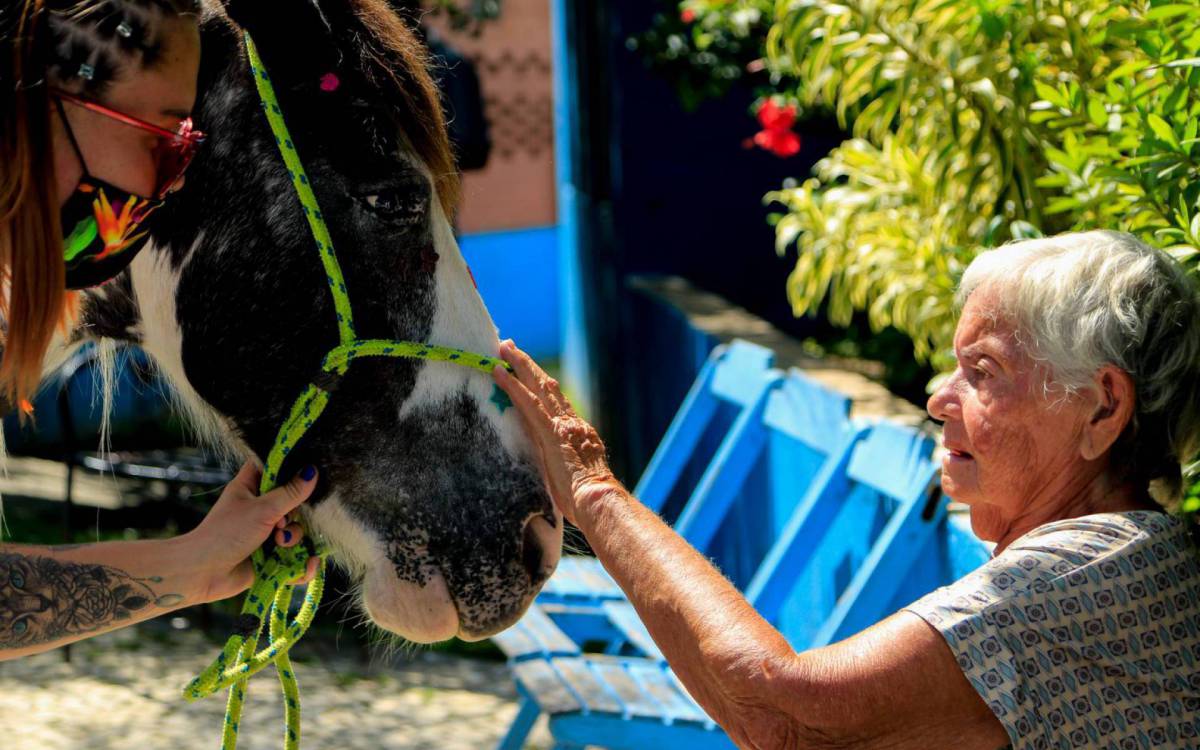 Especialistas têm colhido bons resultados com a terapia com animais - Marcelo Piu/Prefeitura do RIO