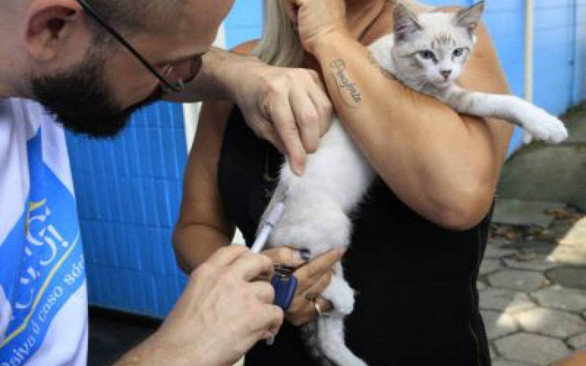 Na Zona Oeste, 107 escolas da rede pública municipal funcionaram como postos de vacinação neste fim de semana - Divulgação