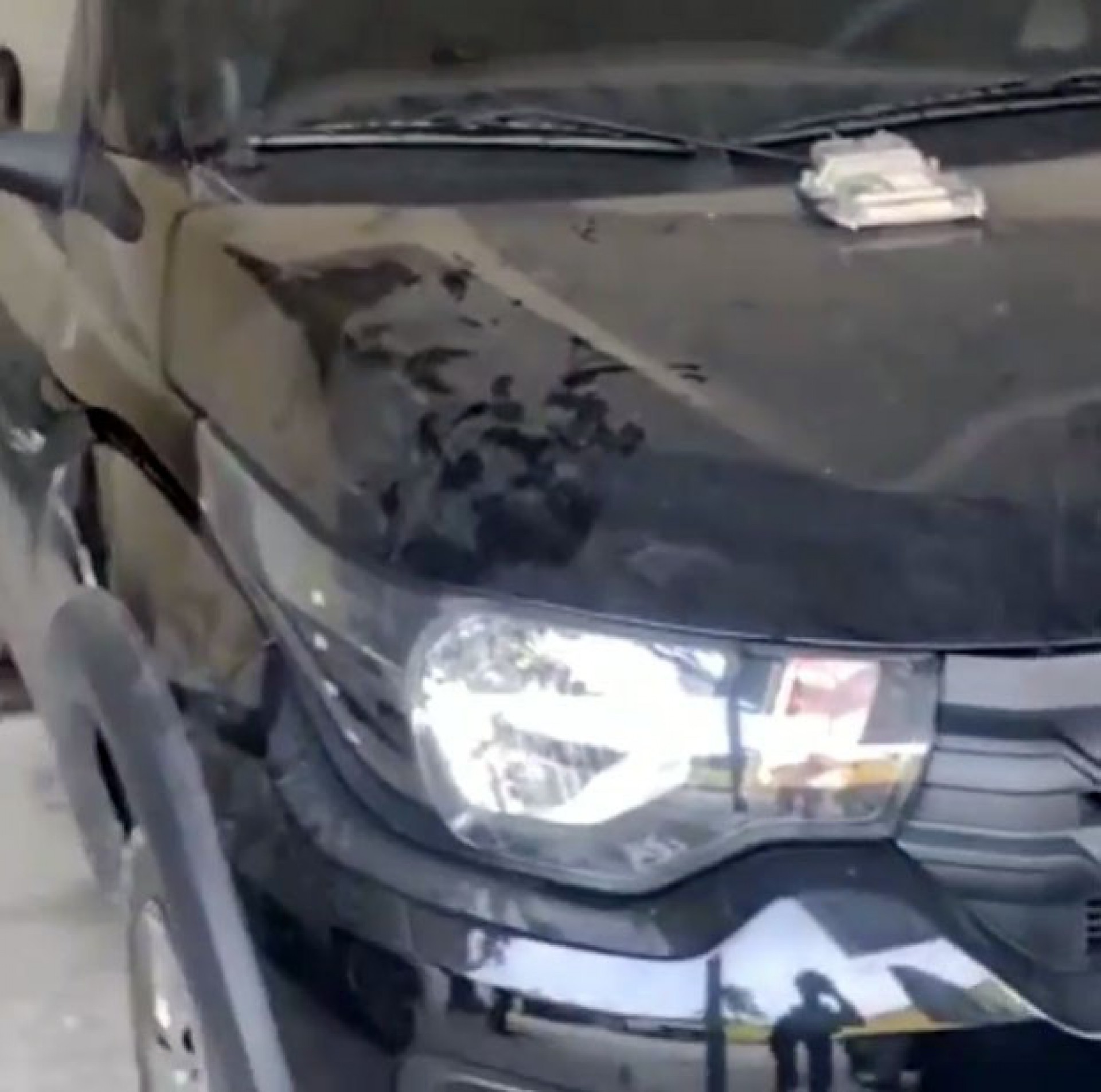 Sete carros foram apreendidos - Divulgação / Polícia Militar