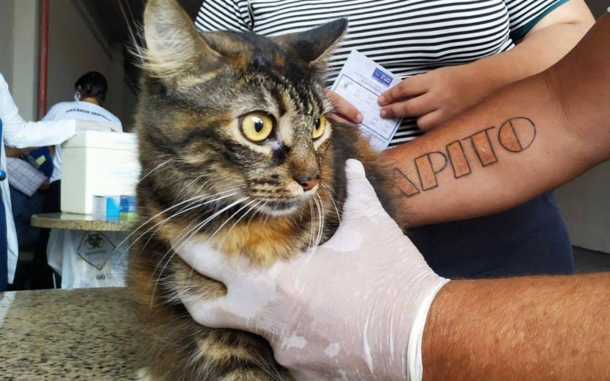 30 pontos de atendimento foram espalhados por Meriti para melhor atender a popula&ccedil;&atilde;o. - Divulga&ccedil;&atilde;o/PMSJM