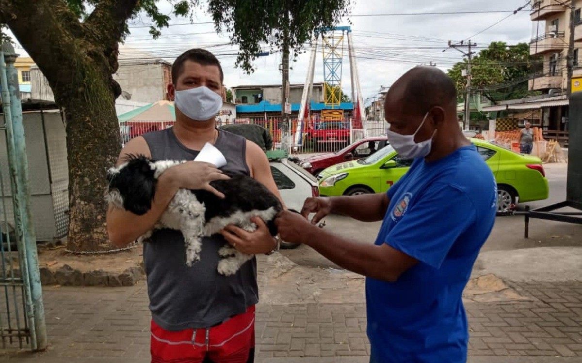 Campanha de vacinação antirrábica já imunizou mais de 124 mil animais no fim de semana - Divulgação