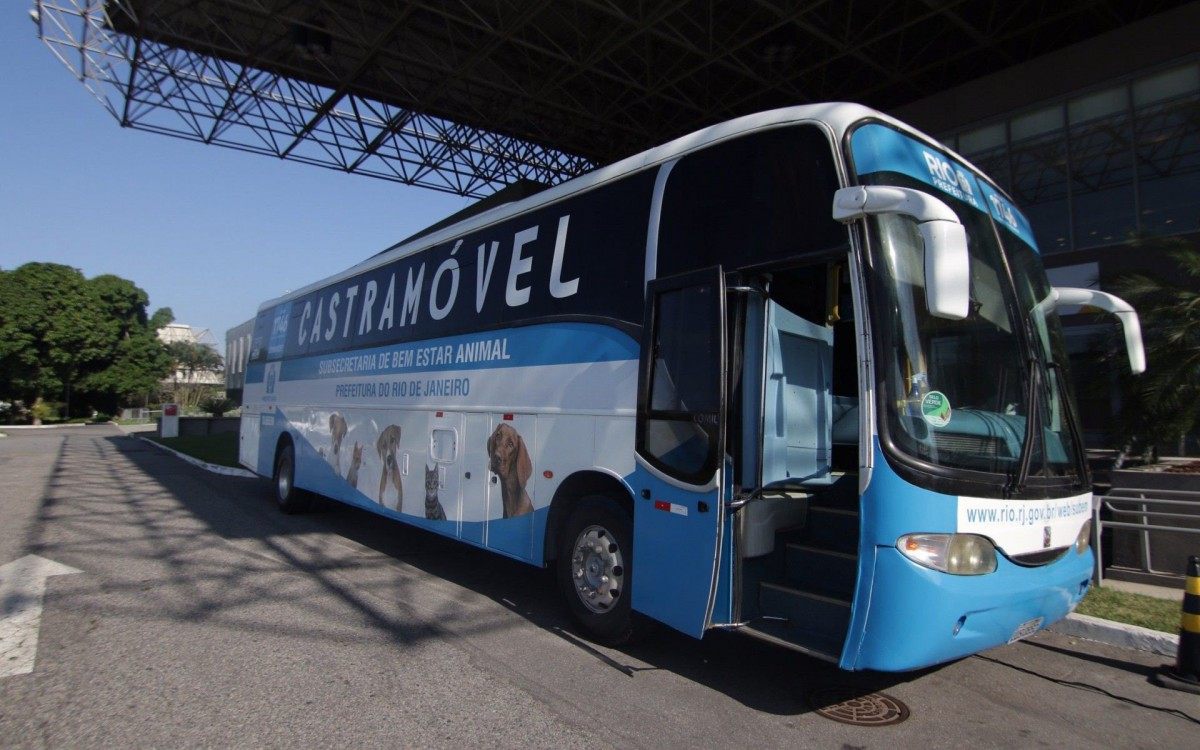 Prefeitura do Rio leva ônibus castramóvel a Paquetá para esterilização gratuita de cães e gatos
