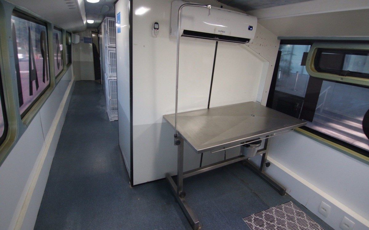 Prefeitura do Rio leva ônibus castramóvel a Paquetá para esterilização gratuita de cães e gatos
