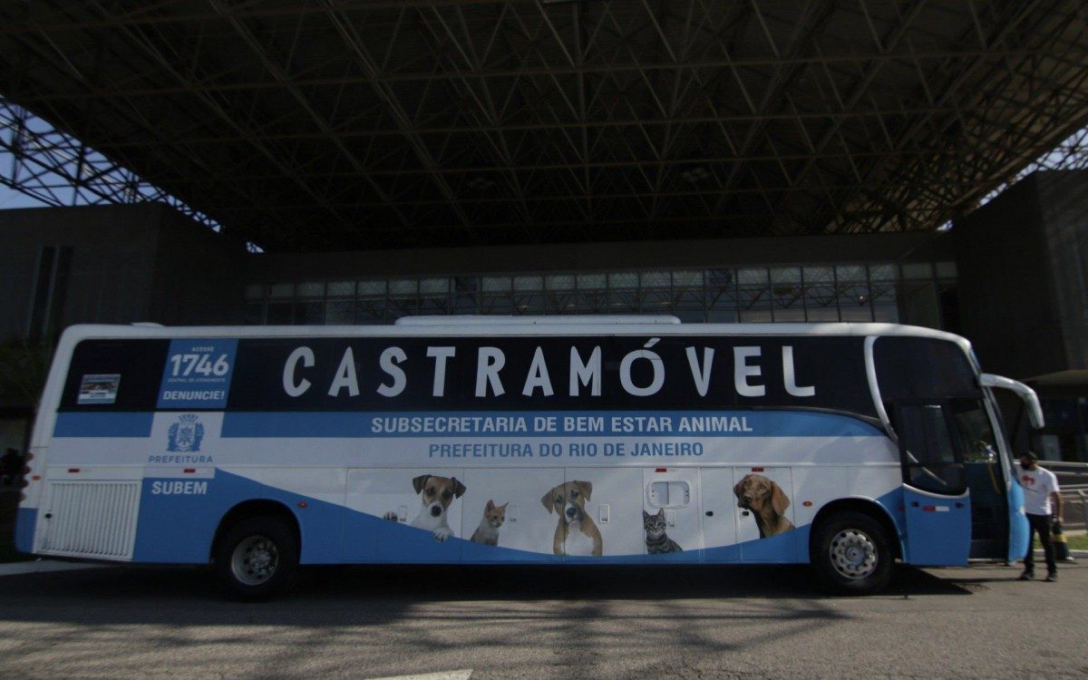Prefeitura do Rio leva ônibus castramóvel a Paquetá para esterilização gratuita de cães e gatos
