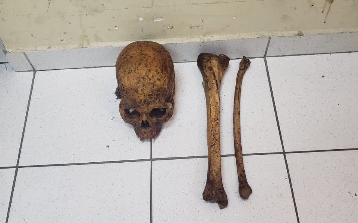 Homem foi preso em flagrante com um crânio e dois ossos retirados de covas - Divulgação