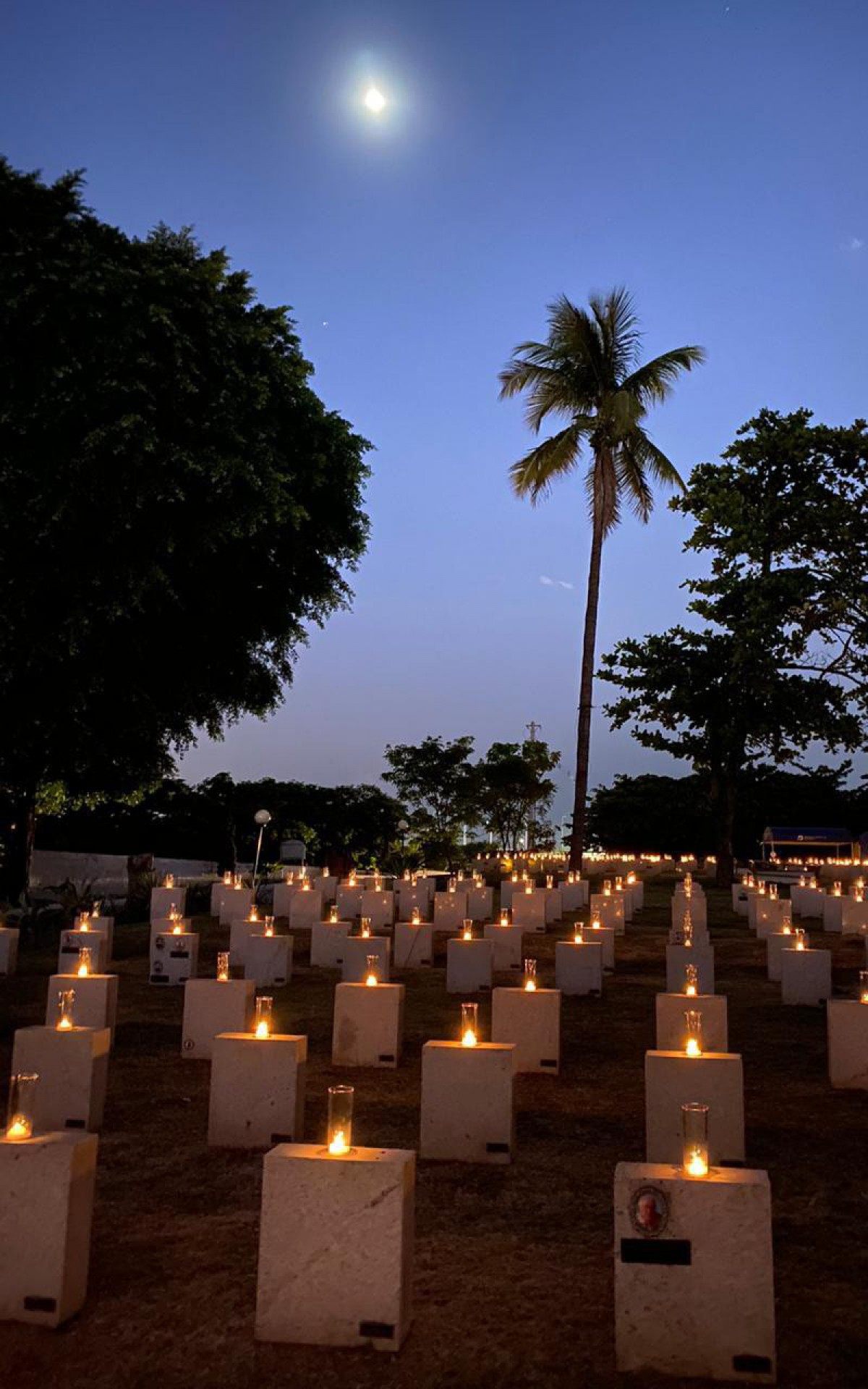 Será feita uma homenagem para cientistas que estão estudando sobre a vacina da covid-19 - Cemitério da Penitência / Divulgação 