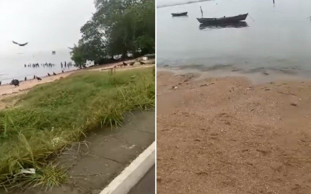 Trechos dos vídeos em que uma pessoa filma partes de um corpo na faixa de areia de uma praia de Magé, na Baixada Fluminense - Reprodução