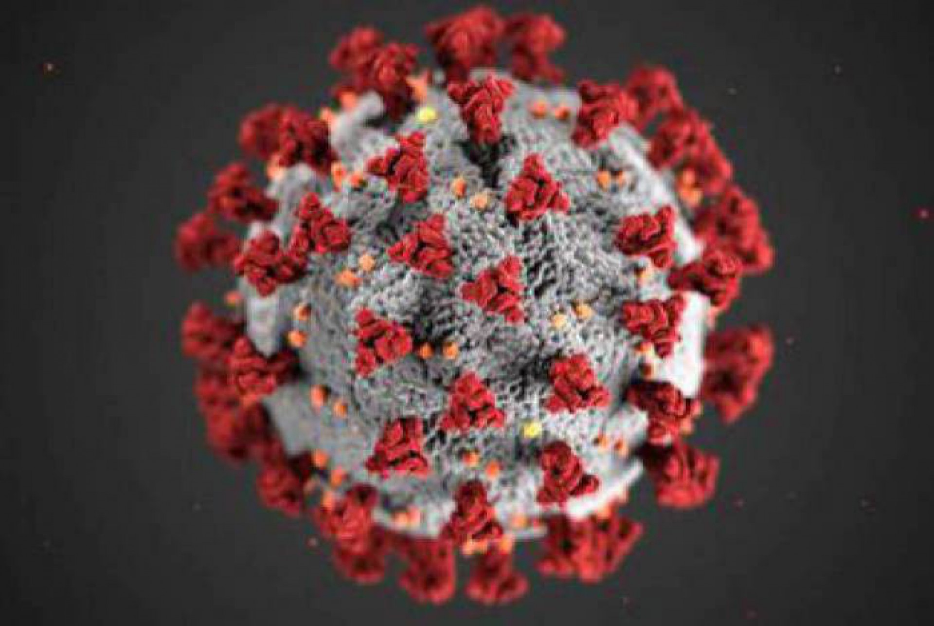 País tem 160 mil mortes e 5,56 milhões de casos de coronavírus acumulados