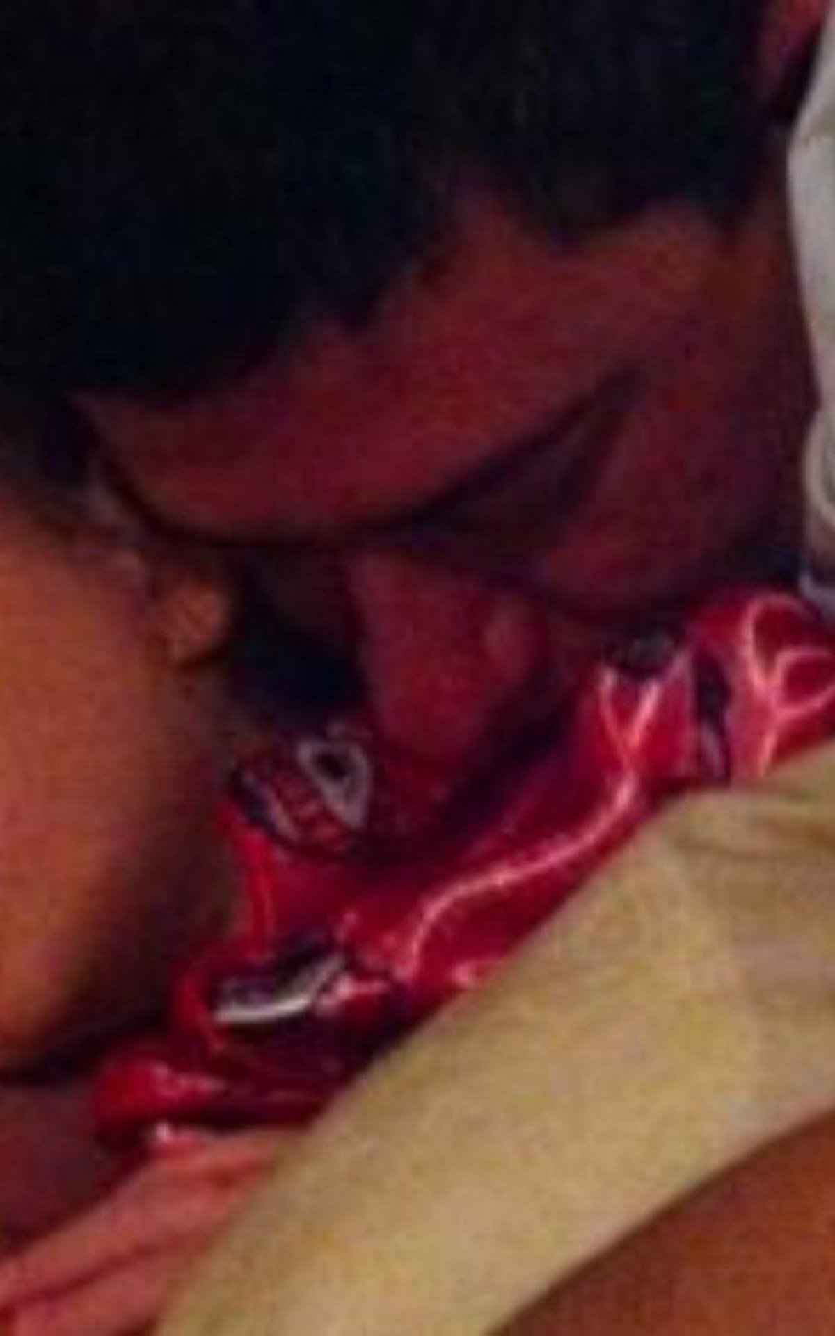 Filha de Tom Veiga fala pela primeira vez sobre a morte do pai: 'estou sem rumo' - Reprodução Internet