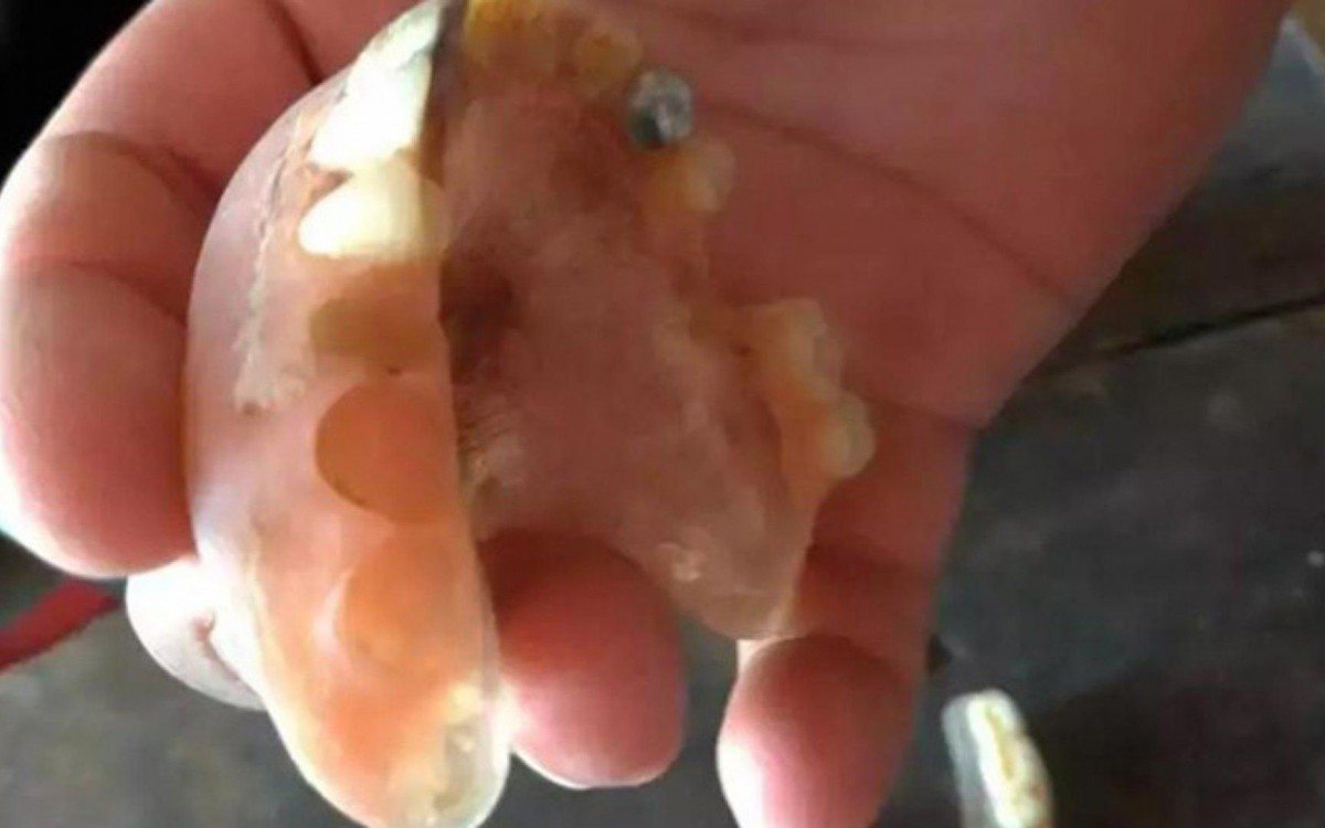 Vítima da Covid-19 teve dentes de ouro roubados após óbito pela doença
 - Arquivo pessoal