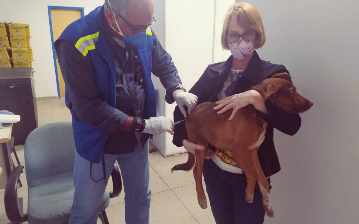Campanha de vacinação animal continua em São João de Meriti - Divulgação/PMSJM
