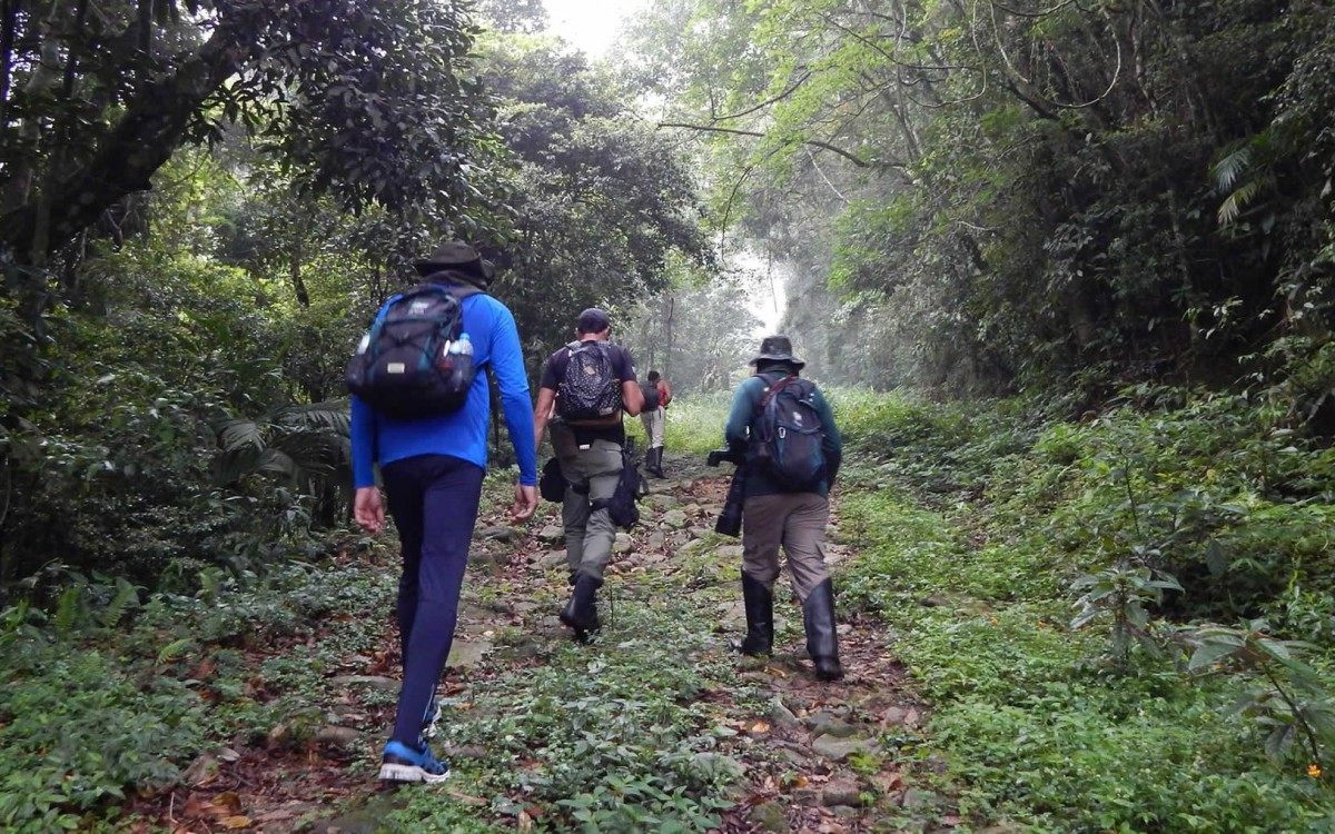 Monitoramento de Fauna. Entidade Ambientalista Onda Verde, coordenado pelo biólogo Diogo Luiz