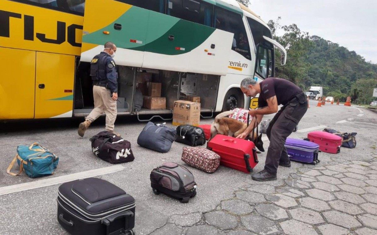 PRF e Core apreendem drogas na serra das Araras - Divulgação